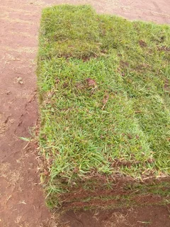 Shelton instant lawn supply and install