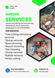 JAMES TREE FELLING 073 530 9364