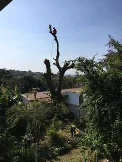 James Tree Cutter 0735309364