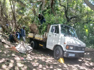 James Tree Felling 073 530 9364