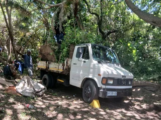 JAMES TREE FELLING 073 530 9364