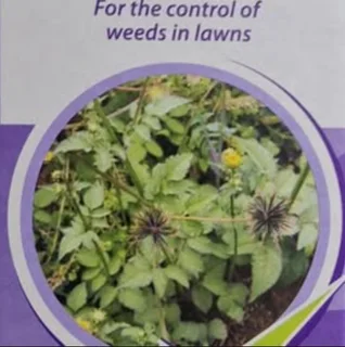 Banweed 200ml by Efekto R152.50