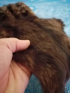 Vintage 1960s Brown Mink Stole Cape Fur