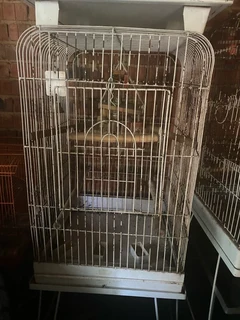Large bird cage