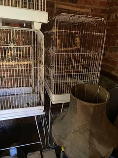 Bird cage