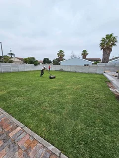 13 N 19MM BROWN N GREY STONES AND INSTANT ROLL ON LAWN AND ASTRO TURF AND PAVING N COMPOST
