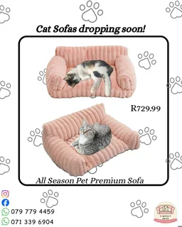 ✨Cat Sofa Dropping Soon
