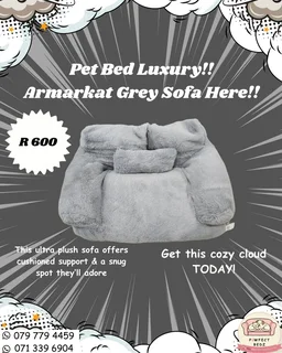 Your Pet's New Obsession!✨