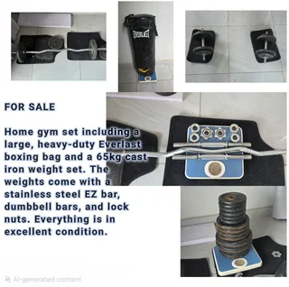 GYM WEIGHTS 65KG  CAST IRON WITH HEAVY BOXING BAG