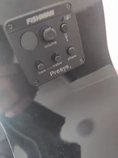 Cort Electric Acoustic Bass Guitar