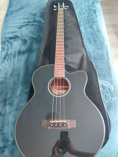 Cort Electric Acoustic Bass Guitar