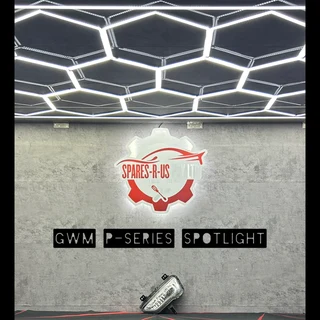 GWM P-Series Spotlight for sale