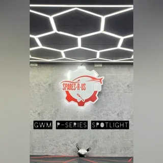 GWM P-Series Spotlight for sale