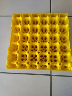 Egg Trays 30s