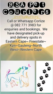 Pet courier service