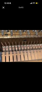 Piano - Ad posted by Ansa van der Merwe