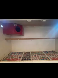 Love bird  breeding cage available