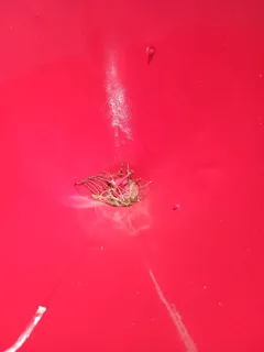 2012 Fertilizer Spreader