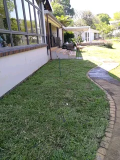 Instant lawn