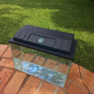 31 liter fish tank (full setup)