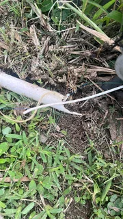 Optic Fiber Technician