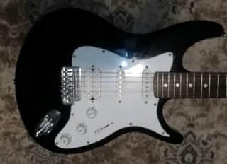 Electric guitar