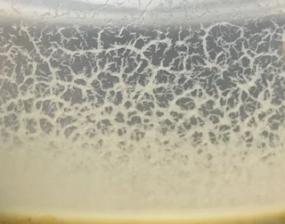 Micro worm starter culture