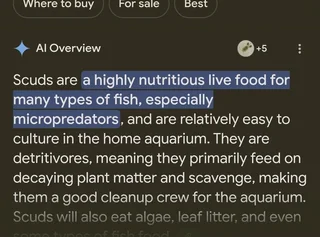 Scuds live food highly nutritious