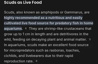Scuds live food highly nutritious