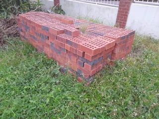 Plaster Bricks
