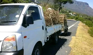 Waste &amp; Rubble Removal