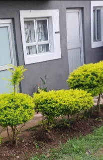 Ro - Ad posted by Nombulelo Joyce