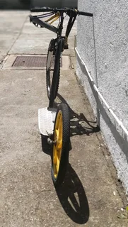 Mushing Scooter for Dogs