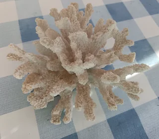 Resin Coral Ornament