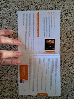 Honey Bunny light for sale