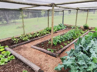 Exceptional Gardening  (Looking for a Job)