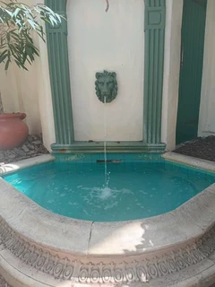 Netcom  Swimming  Pools