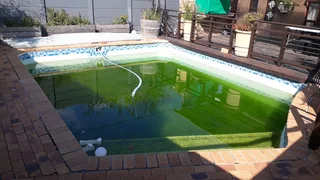 Experience, Realible Handyman&#43;Gardener