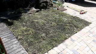 Experience, Realible Handyman&#43;Gardener