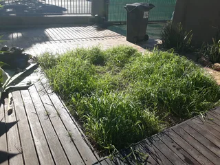 Experience, Realible Handyman&#43;Gardener