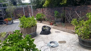 Experience, Realible Handyman&#43;Gardener