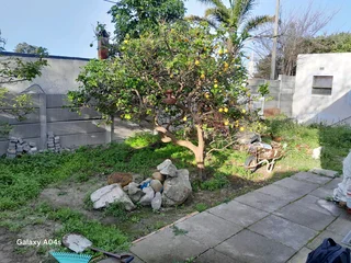 Experience gardener &#43; Handyman