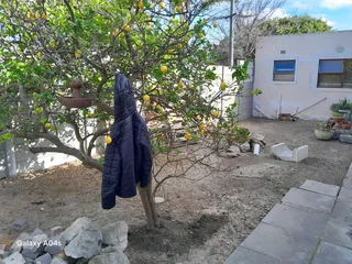 Experience gardener &#43; Handyman