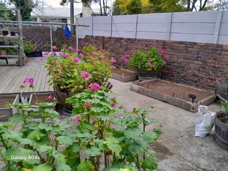 Experience gardener&#43;Handyman