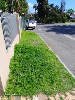 Experience gardener&#43;Handyman