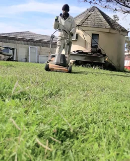 Experience gardener&#43;Handyman