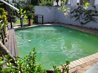 Experience gardener and Handyman