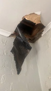 G Sam Services Pty Ltd -- PVC Ceilings