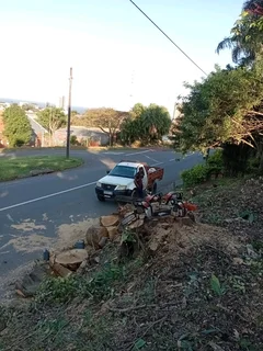 IZITHELO TREE FELLING &amp; CONSTRUCTION