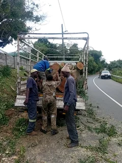 IZITHELO TREE FELLING &amp; CONSTRUCTION